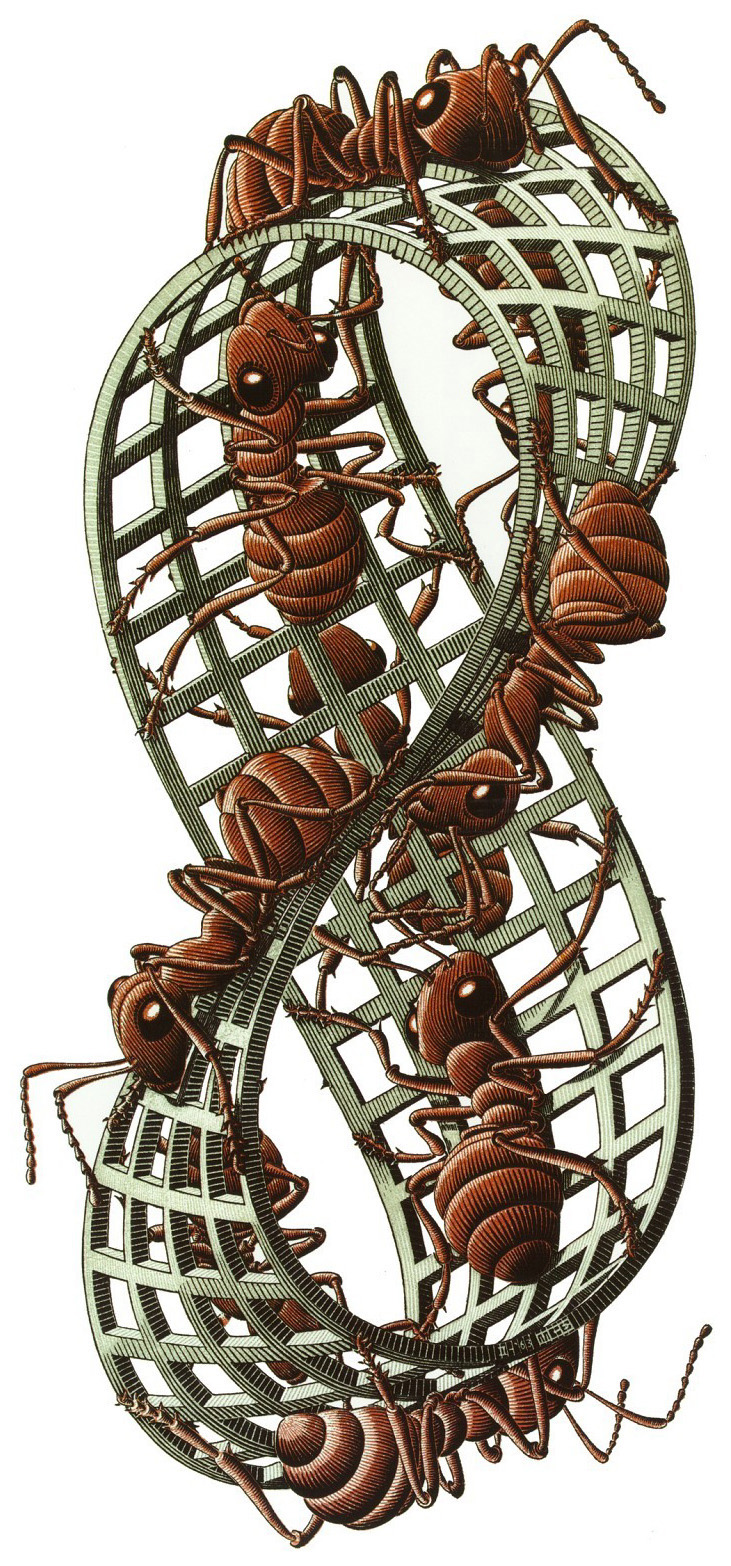 Möbius Strip II (Red Ants)